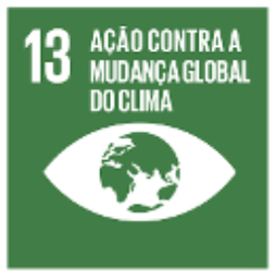 OBJ 13 Techmagia Ação contra a mudança Global do Clima