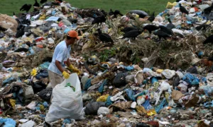 Pobreza no Brasil Techmagia Erradicação da Pobreza Nossas fraquezas