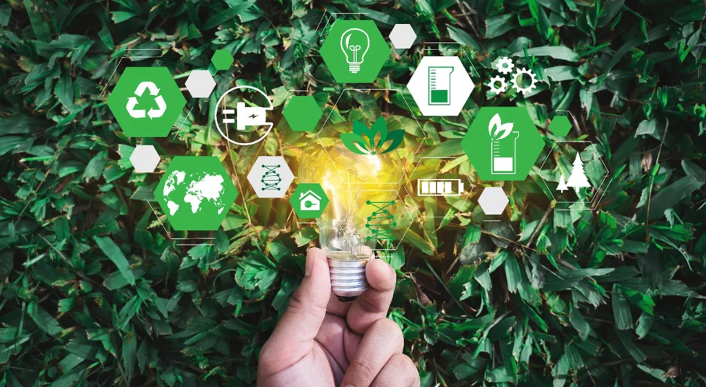 O país que queremos   desenvolvimento sustentável