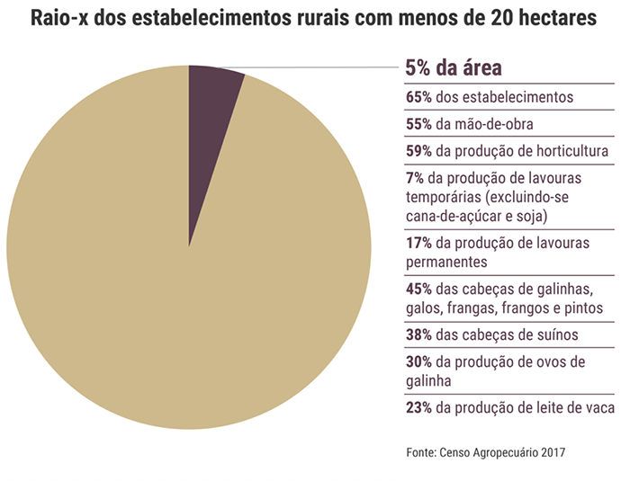 Capacidade produtiva
