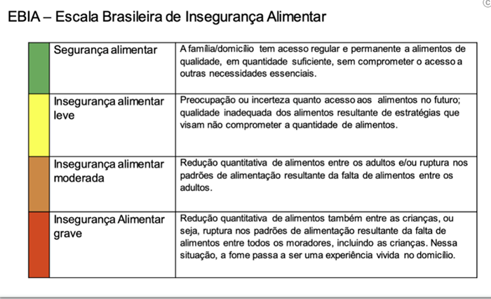 Escala Brasileira da Inseguranaça Alimentar Techmagia Escala de Segurança Alimentar