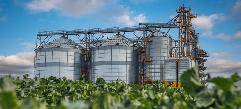 Agro exportador
